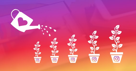 How to increase your Instagram followers organically?