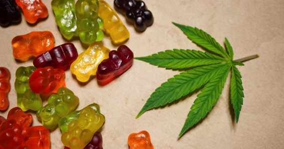 THC Gummies Are Crucial To Your Business. Learn Why
