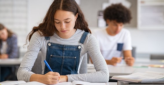 16 Success Tips from Experienced Homework Experts? Here's What You Need to Score A+