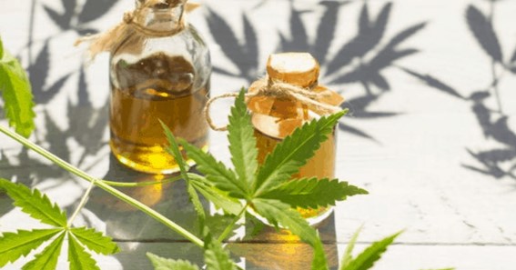 What CBD Can Do for Your Body, According to Science?