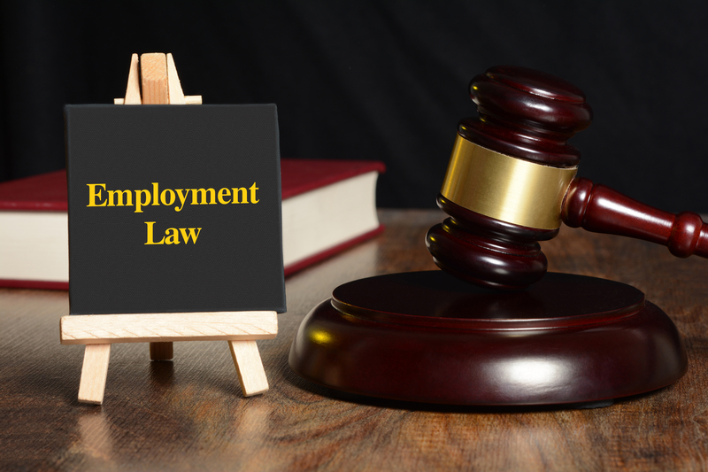The Labour and Employment Lawyers: A Discussion 