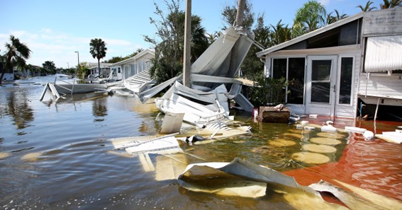 Insurance Policies Every Resident of Palmetto Bay Should Know